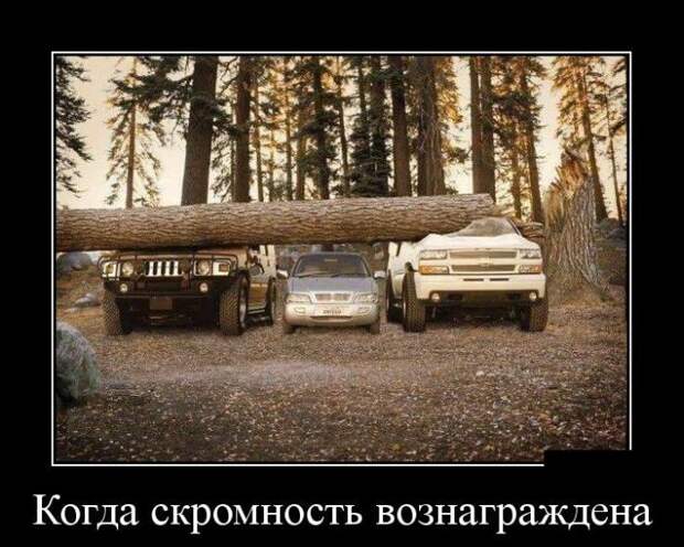 Позитивные и прикольные демотиваторы для настроения (11 фото)