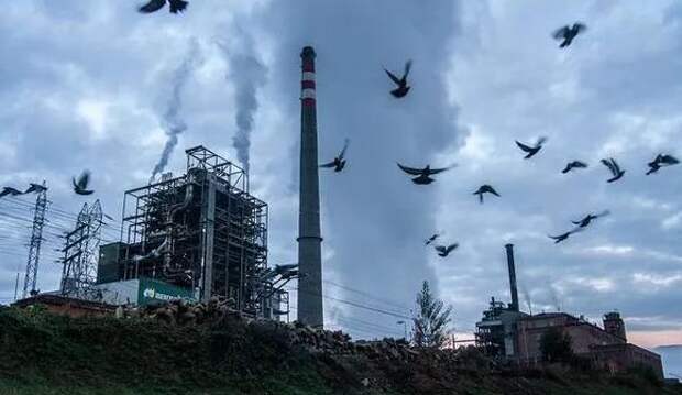 Король-уголь возвращается в Европу Уголь возвращается в Европу
