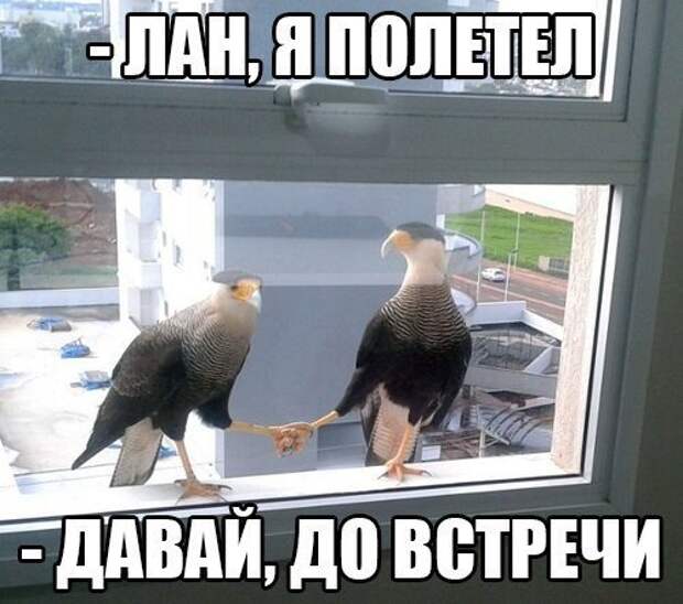 ПОЗИТИВНЫЙ ПОСТ+ 168 ПОЗИТИВНЫЙ ПОСТ+ 168