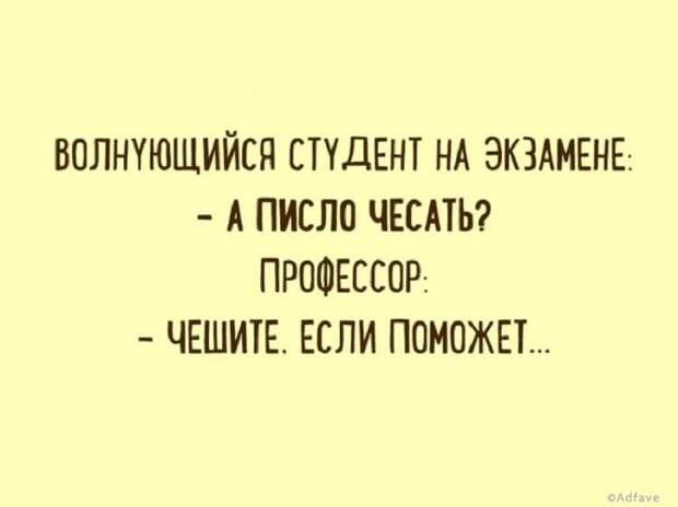 Правдиво-забавные открытки обо всем на свете