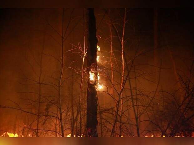 Три лесных пожара остаются действующими в Забайкалье