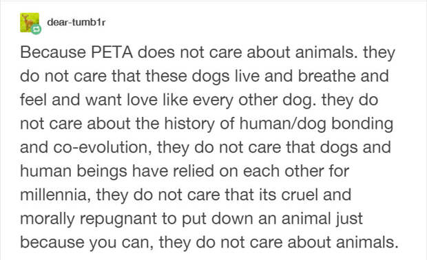 anti-peta-hate-rant-dear-tumb1r-5