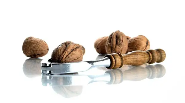 Как хранить грецкие орехи: без горечи и гнили