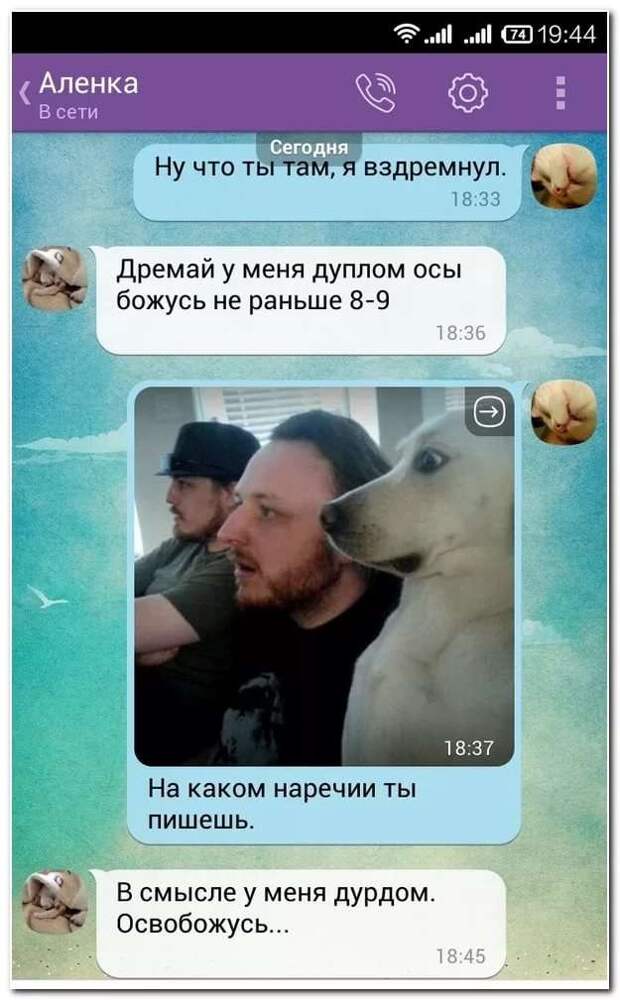 Смешные комментарии. Подборка chert-poberi-kom-chert-poberi-kom-38340901072020-4 картинка chert-poberi-kom-38340901072020-4