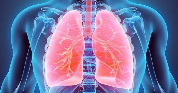 Какой кашель при бронхите: симптомы, методы лечения, особенности протекания болезни