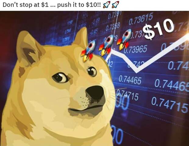 doge coin memes