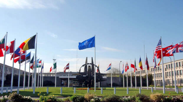Кедми назвал причины возможного роспуска НАТО