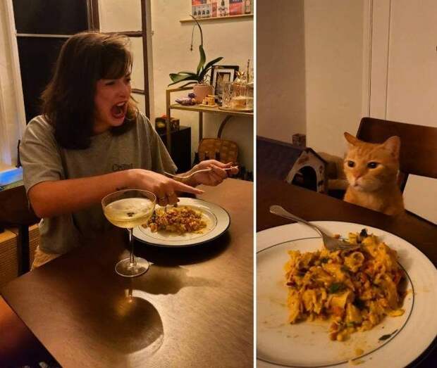 Подборка картинок дня