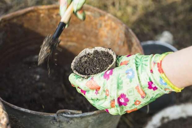 Как правильно вносить удобрения в землю перед зимовкой