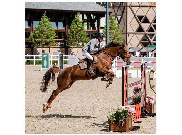 Международный турнир по конкуру клуба Emerald Stables номинирован на премию Horse Expert Awards — 2025