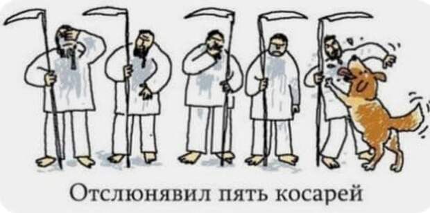 Пассажир спрашивает у стюардессы: - Я не понимаю, как эти ремни сохранят мне жизнь...