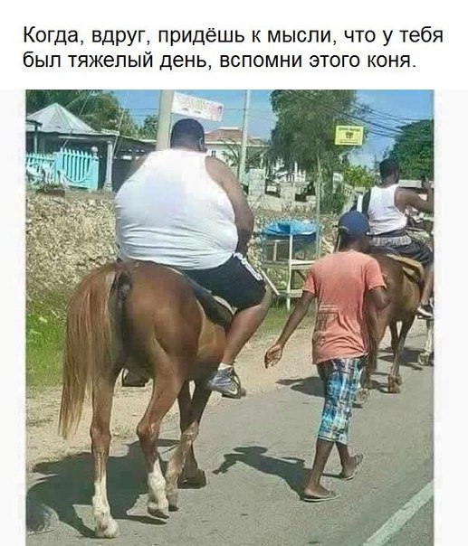 Позитивные картинки с надписями для хорошего настроения (12 фото) Позитивные картинки с надписями для хорошего настроения (12 фото)