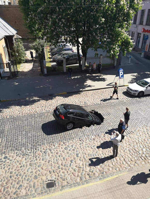 Подборка прикольных картинок