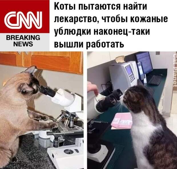 Доза позитива в фото-приколах и картинках (23 шт)