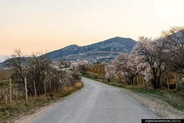 Как сейчас выглядят места съёмок фильма "3+2" в Крыму? Фотосравнение спустя 60 лет