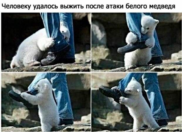 Картинки с надписями, истории и анекдоты