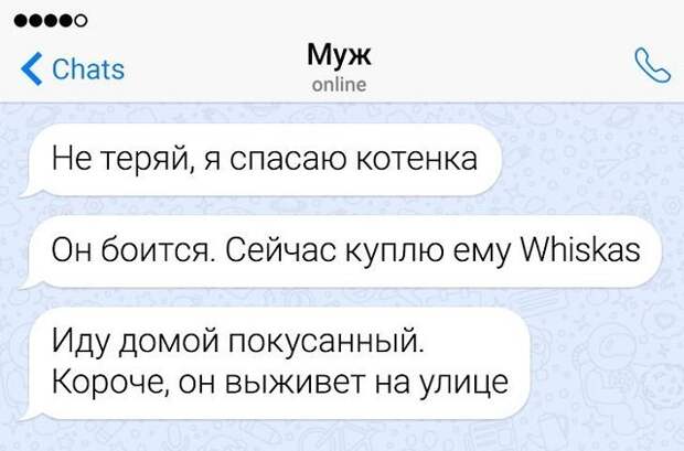 Подборка забавных переписок