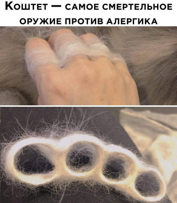 Смешные картинки вечер 3 марта 2021