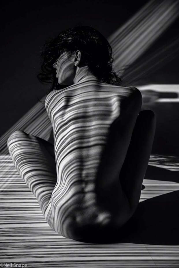 creative-hard-shadow-photography-15-57e22f82c8477__700