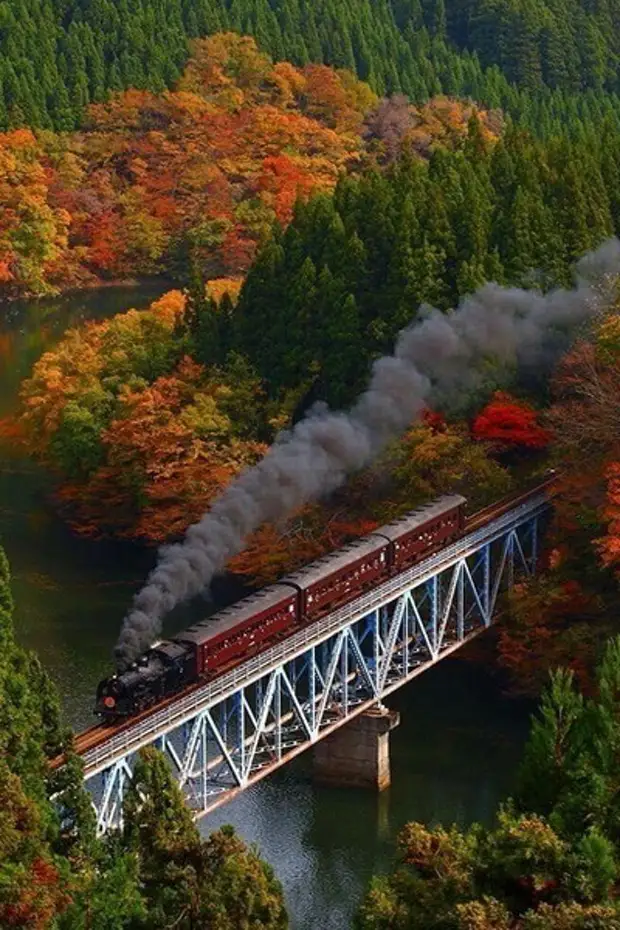 �������� ���������� � ������� �����.