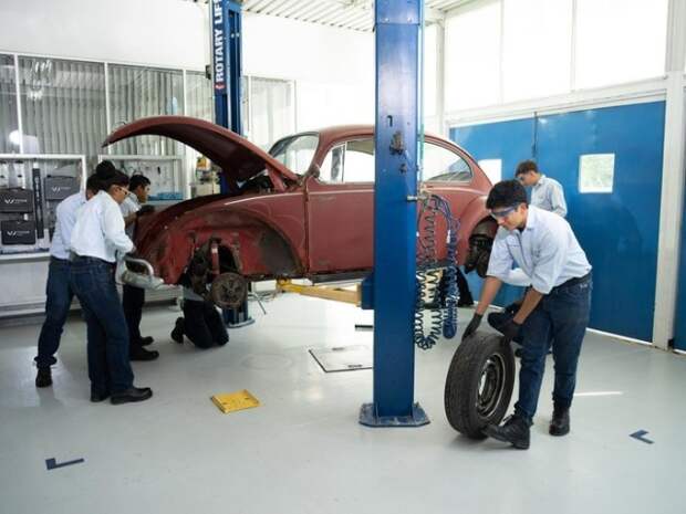 Volkswagen бесплатно восстановил Beetle, которым американка владела более 50 лет