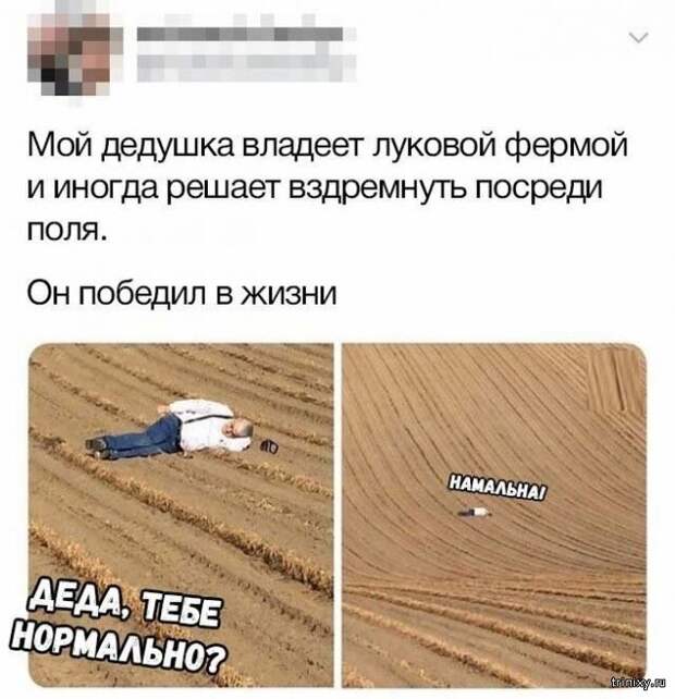 www.vsyako.net