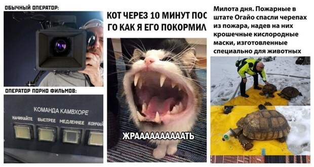 Комментарии и картинки из соцсетей