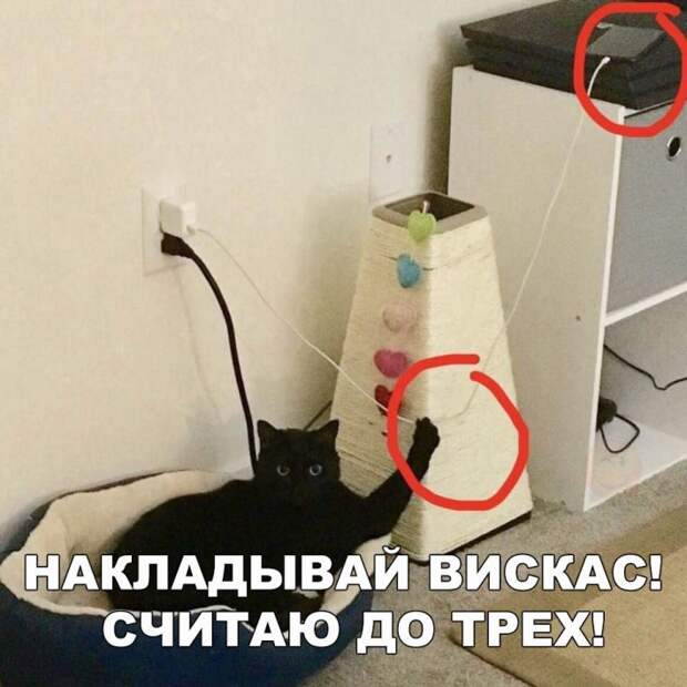 Прикольные фото