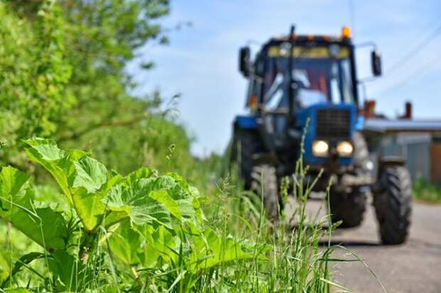 Фермеры Северского района: с поддержкой работать легче