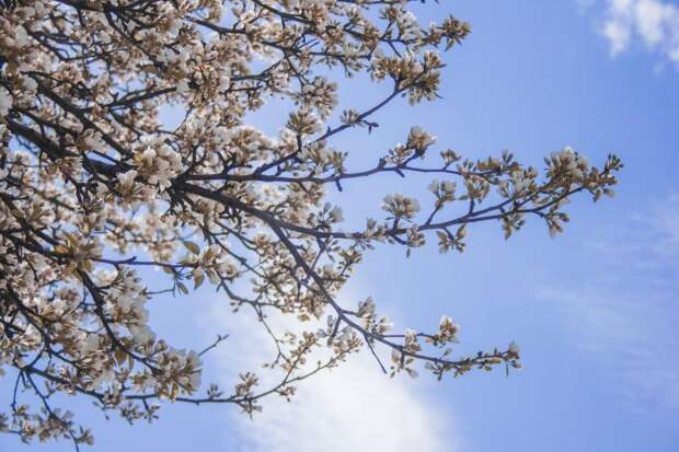 Погода в мае удивит: синоптики резко изменили прогноз — чего ждать по всей России