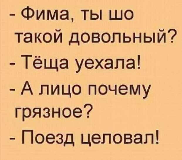 Смешные и забавные истории и шутки для настроения из жизни
