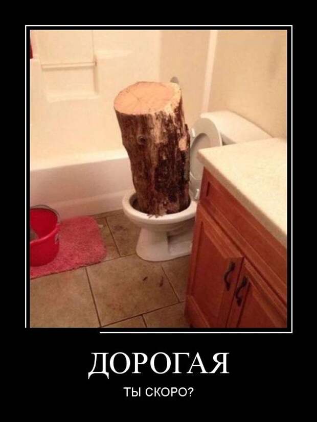 Демотиваторы. Я балдею!