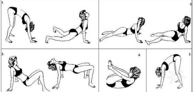 Здоровье и позвоночник