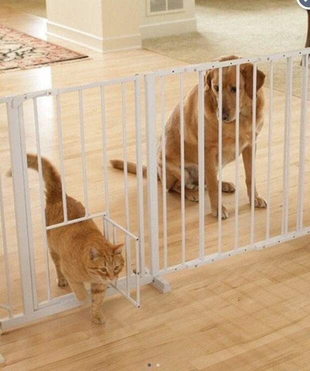 А как же я? А как же я?