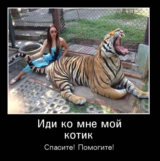 Приколы