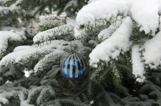 Эксперт Рыкалина сообщила, что к новогодним праздникам поднимется цена на некоторые категории продуктов