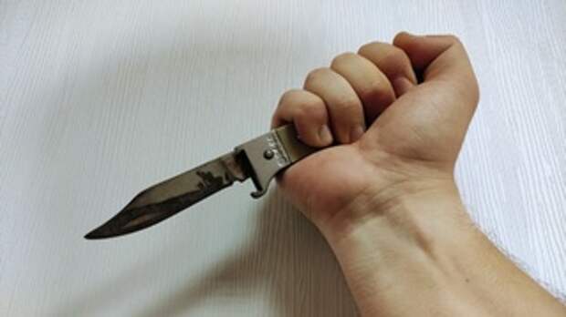 В Алтайском крае осудили новосибирского школьника, который ударил друга ножом в спину