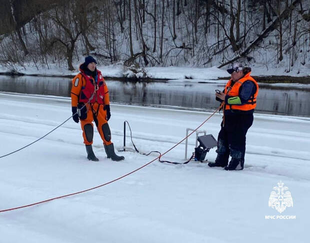 Стало известно о зацепке в деле трех пропавших под Москвой детей