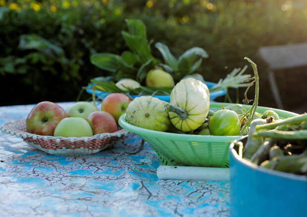 Огород в город