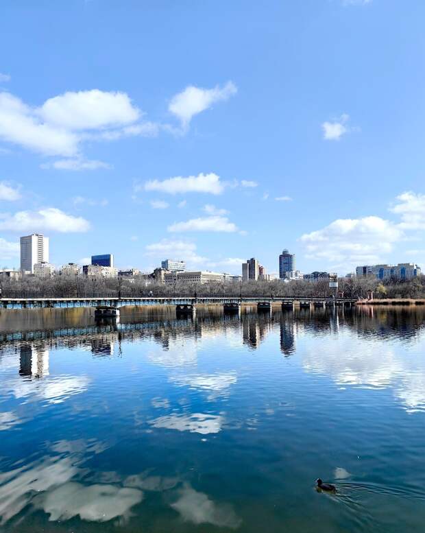 В парке Щербакова всё спокойно https://t.me/webmoney_dn/318274