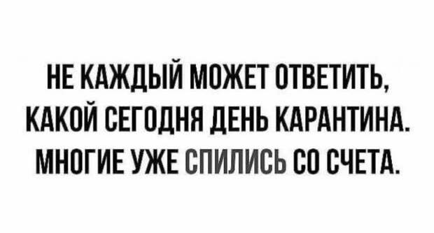 Майские праздники, удаленка и карантин: лучшие шутки в Сети