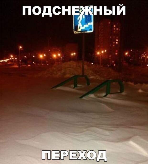 Прикольные фото