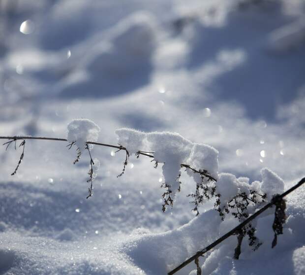 Синоптик предупредил россиян о 40-градусных морозах в новогоднюю ночь