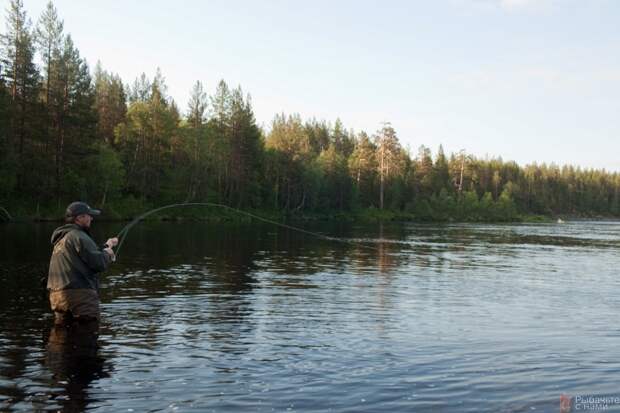В лососёвой реке Кола кумжа присутствует в достаточном количестве.