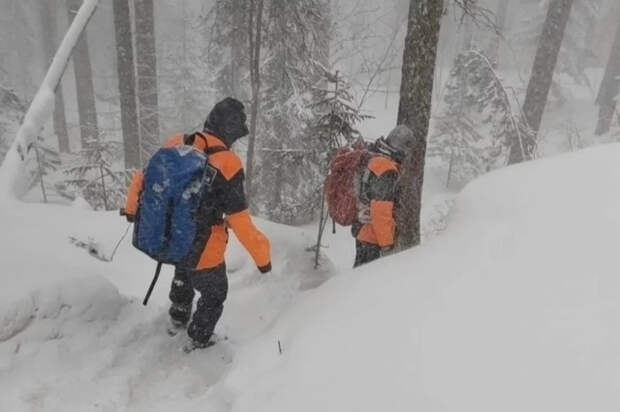 Пропал, как Усольцевы: новые детали поиска спецназовца Потаенкова в тайге