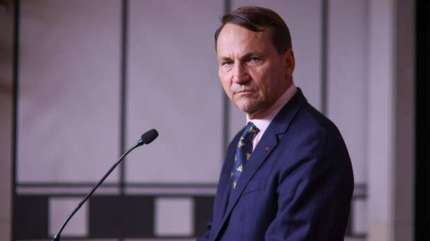 Маск назвал главу МИД Польши слюнявым идиотом