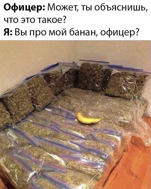 1583462405_rzhaka-8.jpg