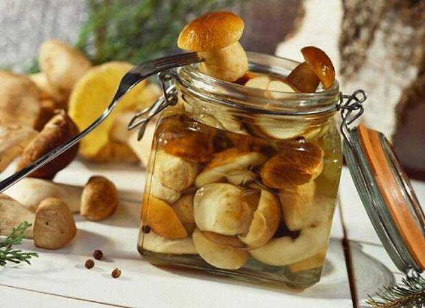 Три дореволюционных рецепта соления грибов
