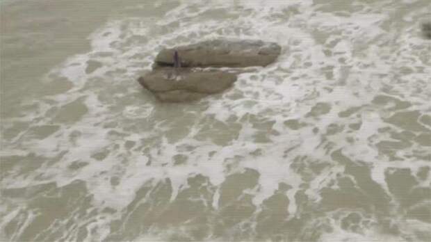 Настоящие русалки, найденные на пляжах Гавайев и Египта.