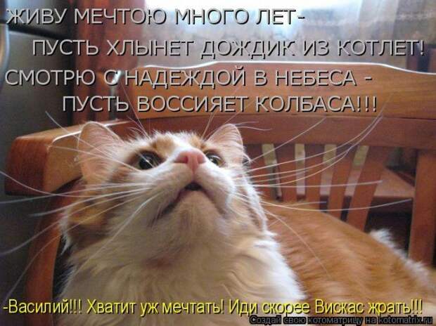 Мысли вслух :)